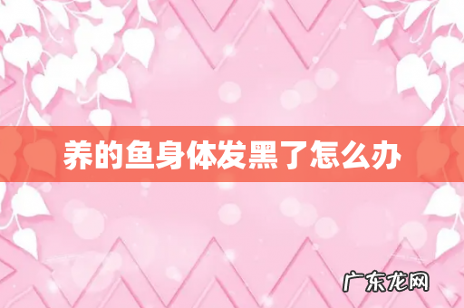 养的鱼身体发黑了怎么办