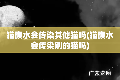 猫腹水会传染别的猫吗 猫腹水会传染其他猫吗