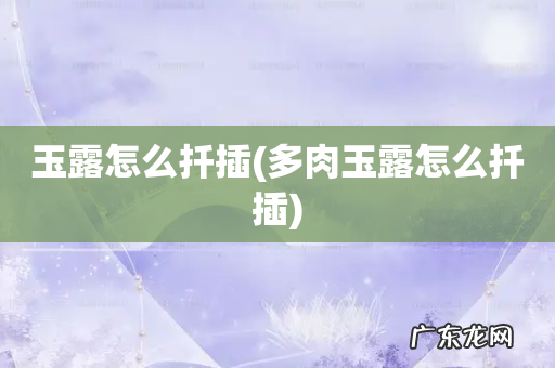 多肉玉露怎么扦插 玉露怎么扦插