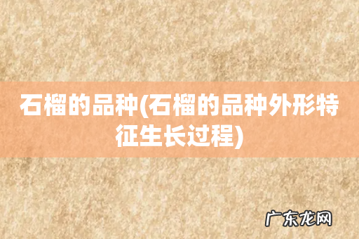 石榴的品种外形特征生长过程 石榴的品种