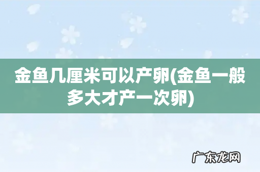 金鱼一般多大才产一次卵 金鱼几厘米可以产卵