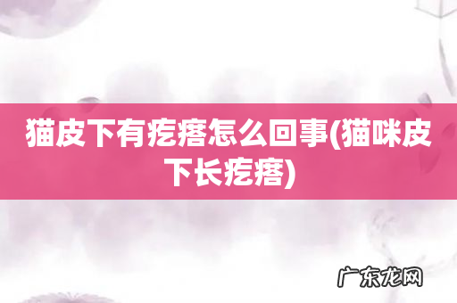 猫咪皮下长疙瘩 猫皮下有疙瘩怎么回事