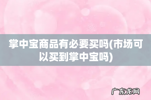 市场可以买到掌中宝吗 掌中宝商品有必要买吗