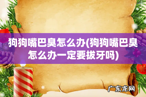 狗狗嘴巴臭怎么办一定要拔牙吗 狗狗嘴巴臭怎么办