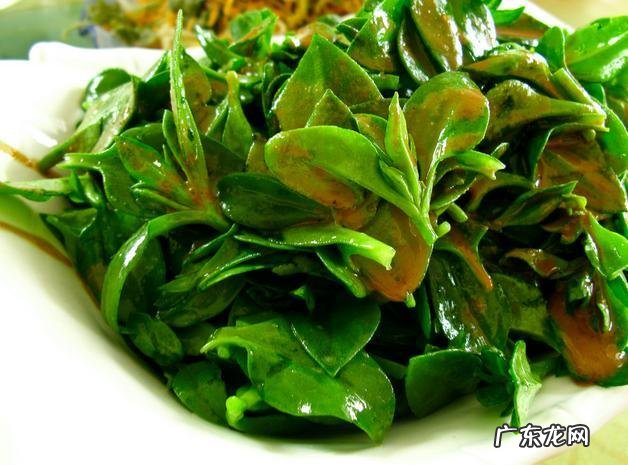 田七有什么作用 田七的作用与功效