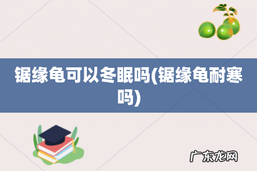 锯缘龟耐寒吗 锯缘龟可以冬眠吗
