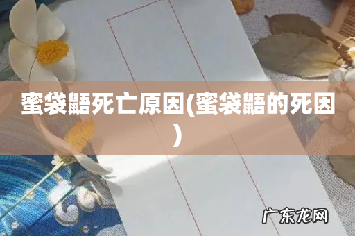 蜜袋鼯的死因 蜜袋鼯死亡原因