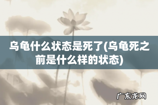 乌龟死之前是什么样的状态 乌龟什么状态是死了