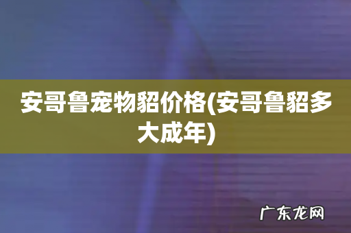 安哥鲁貂多大成年 安哥鲁宠物貂价格