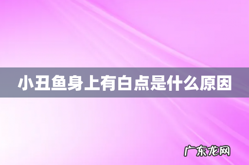 小丑鱼身上有白点是什么原因