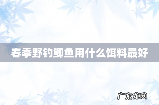春季野钓鲫鱼用什么饵料最好