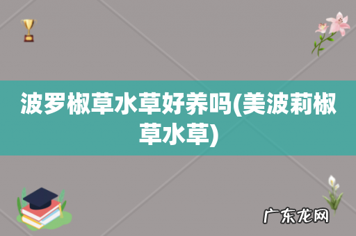 美波莉椒草水草 波罗椒草水草好养吗