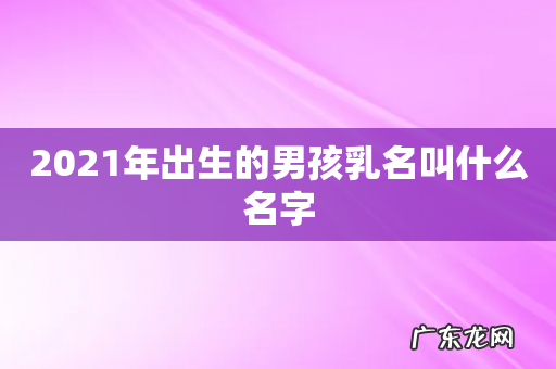 2021年出生的男孩乳名叫什么名字