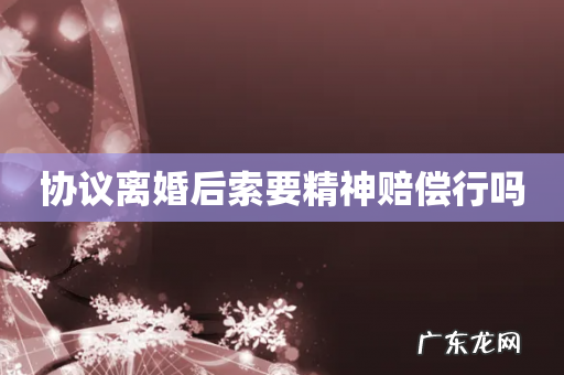 协议离婚后索要精神赔偿行吗