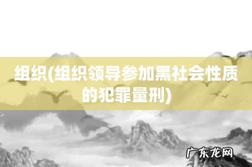 组织领导参加黑社会性质的犯罪量刑 组织