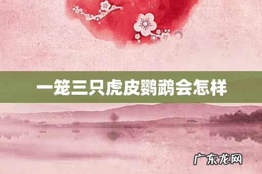 一笼三只虎皮鹦鹉会怎样