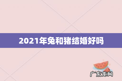 2021年兔和猪结婚好吗