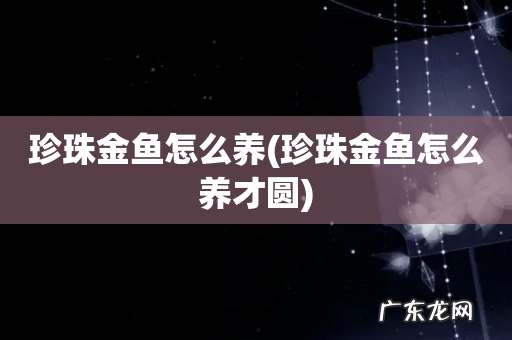 珍珠金鱼怎么养才圆 珍珠金鱼怎么养