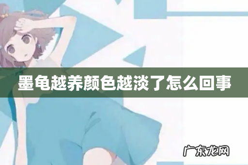 墨龟越养颜色越淡了怎么回事