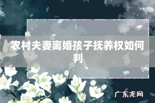 农村夫妻离婚孩子抚养权如何判