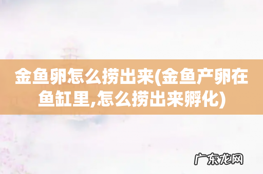 金鱼产卵在鱼缸里,怎么捞出来孵化 金鱼卵怎么捞出来