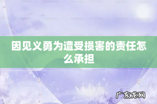 因见义勇为遭受损害的责任怎么承担