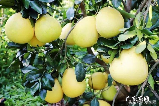 广西武宣风水宝地留题地 武宣风水宝地图示