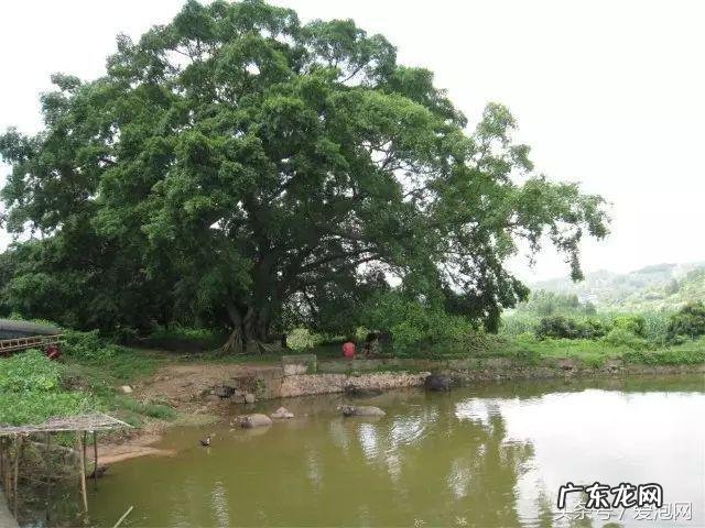 广西武宣风水宝地留题地 武宣风水宝地图示
