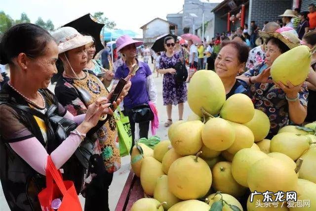 广西武宣风水宝地留题地 武宣风水宝地图示