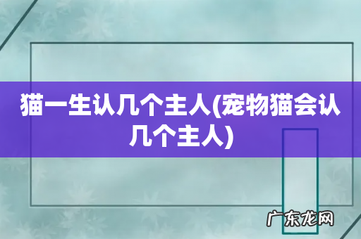 宠物猫会认几个主人 猫一生认几个主人
