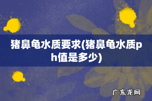 猪鼻龟水质ph值是多少 猪鼻龟水质要求