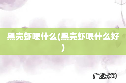 黑壳虾喂什么好 黑壳虾喂什么