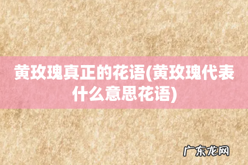 黄玫瑰代表什么意思花语 黄玫瑰真正的花语