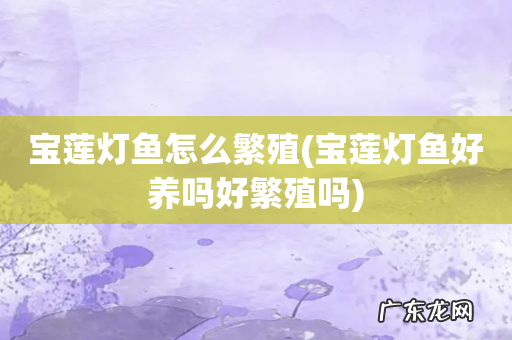 宝莲灯鱼好养吗好繁殖吗 宝莲灯鱼怎么繁殖