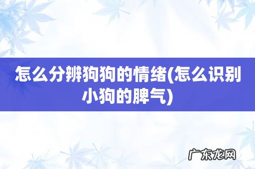 怎么识别小狗的脾气 怎么分辨狗狗的情绪