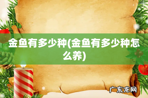 金鱼有多少种怎么养 金鱼有多少种