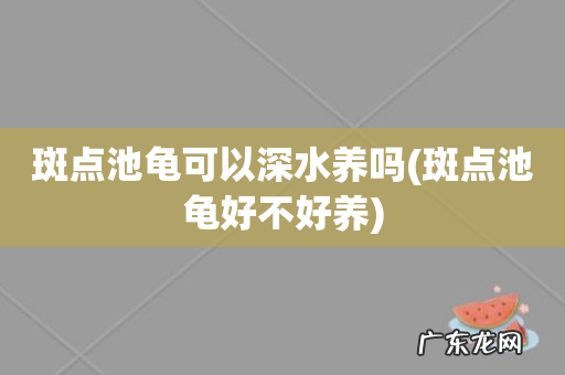 斑点池龟好不好养 斑点池龟可以深水养吗