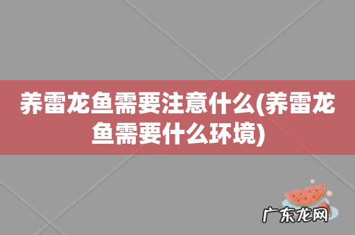养雷龙鱼需要什么环境 养雷龙鱼需要注意什么