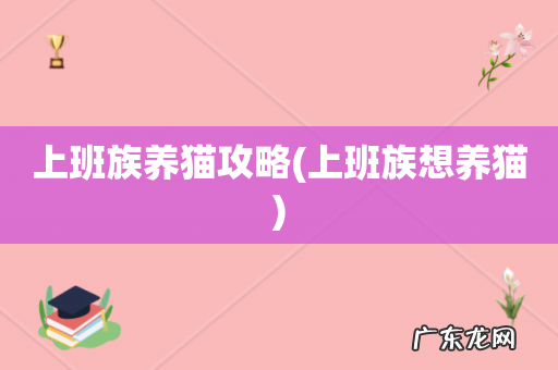 上班族想养猫 上班族养猫攻略