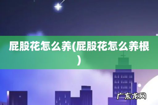 屁股花怎么养根 屁股花怎么养