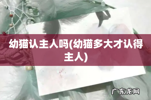 幼猫多大才认得主人 幼猫认主人吗