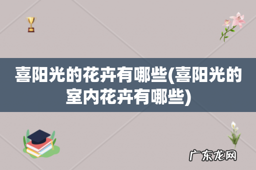 喜阳光的室内花卉有哪些 喜阳光的花卉有哪些