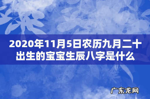 2020年11月5日农历九月二十出生的宝宝生辰八字是什么