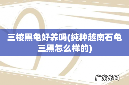 纯种越南石龟三黑怎么样的 三棱黑龟好养吗