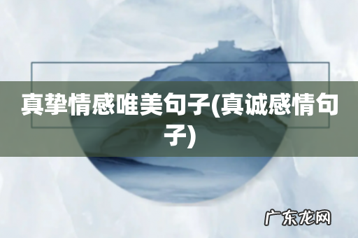 真诚感情句子 真挚情感唯美句子