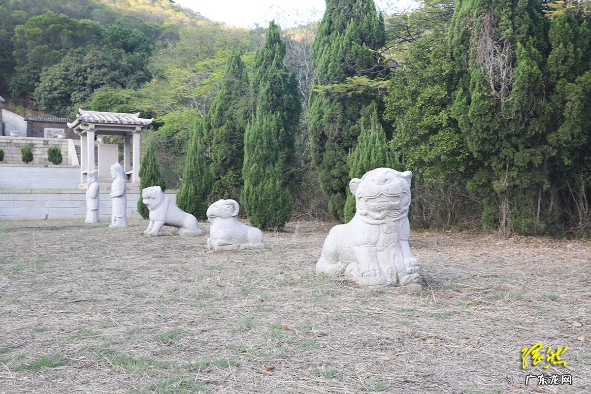 风水宝地飞凤朝阳图片 丹凤朝阳风水宝地出什么人