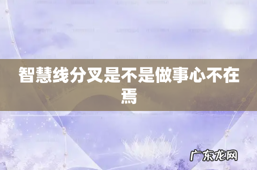 智慧线分叉是不是做事心不在焉