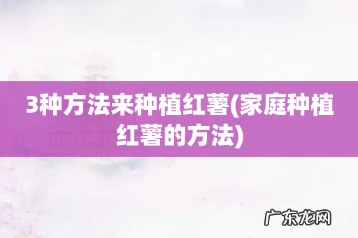 家庭种植红薯的方法 3种方法来种植红薯