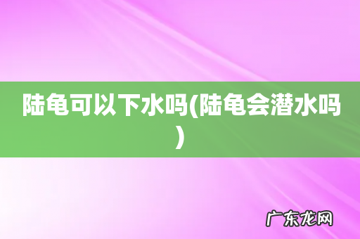陆龟会潜水吗 陆龟可以下水吗