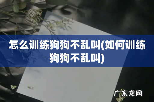 如何训练狗狗不乱叫 怎么训练狗狗不乱叫